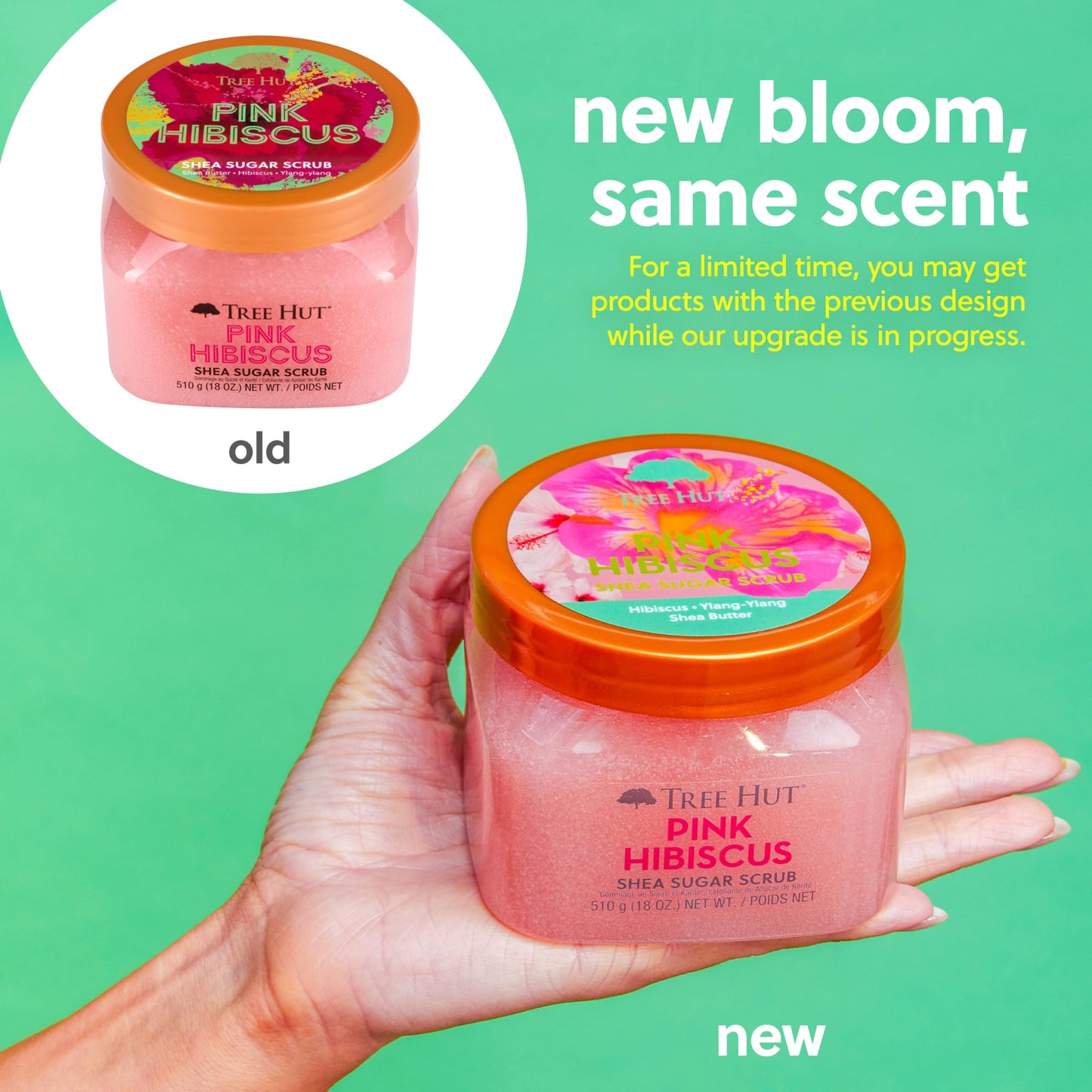 Tree Hut Moroccan Rose Shea Sugar Scrub | Exfoliating Body Scrub Removes Dead, Dry Skin for a Soft & Hydrated Feel | Nourishing Essential Body Care | 18 fl oz.